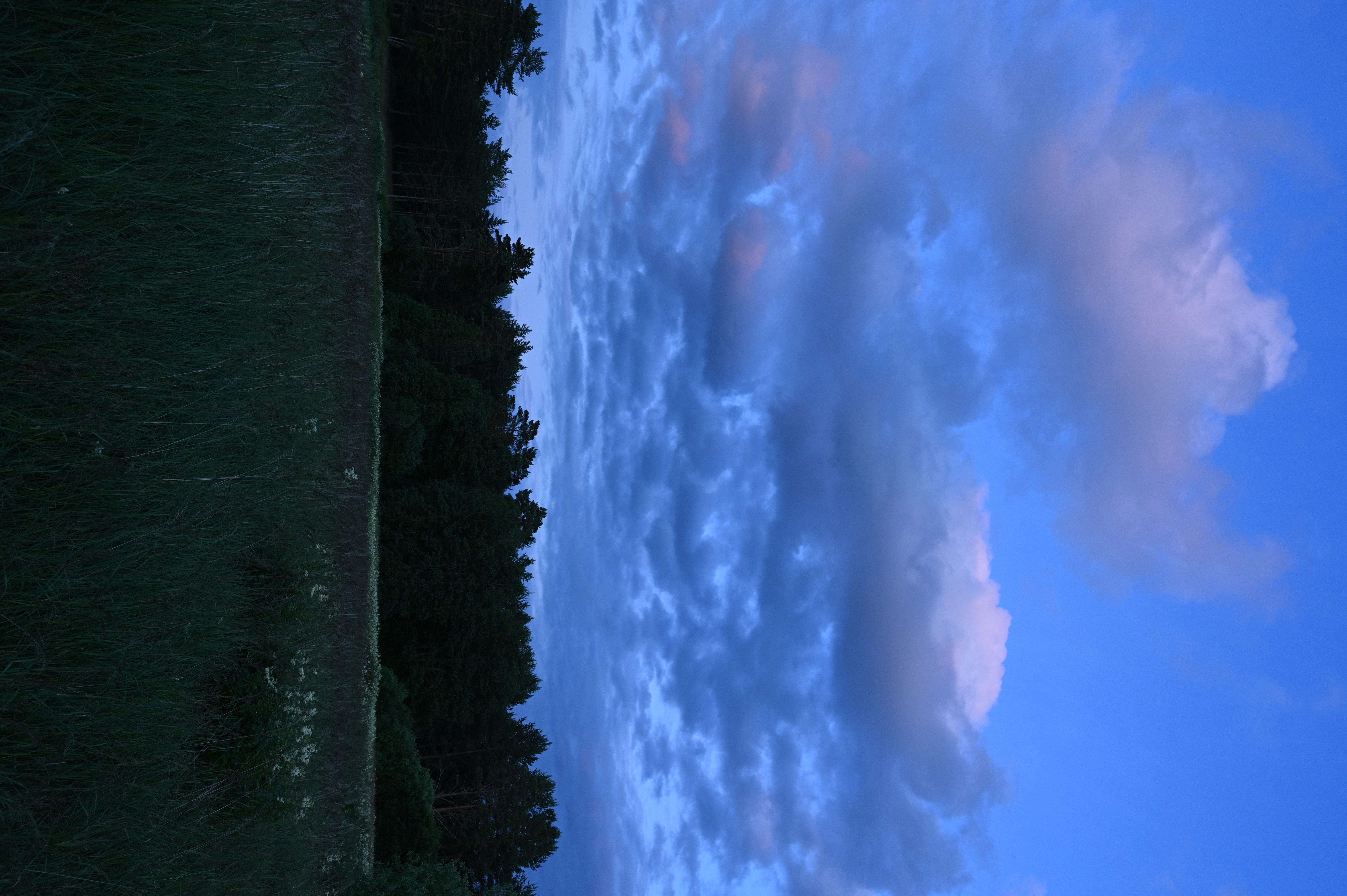 2025/07/09-14 - trip/DSC_0128.JPG